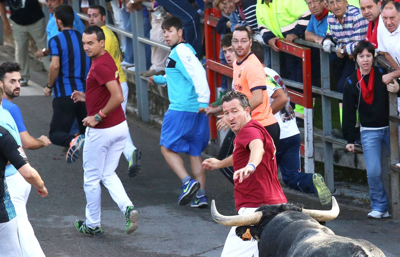 Cuarto encierro de las fiestas de Cuéllar (Segovia)