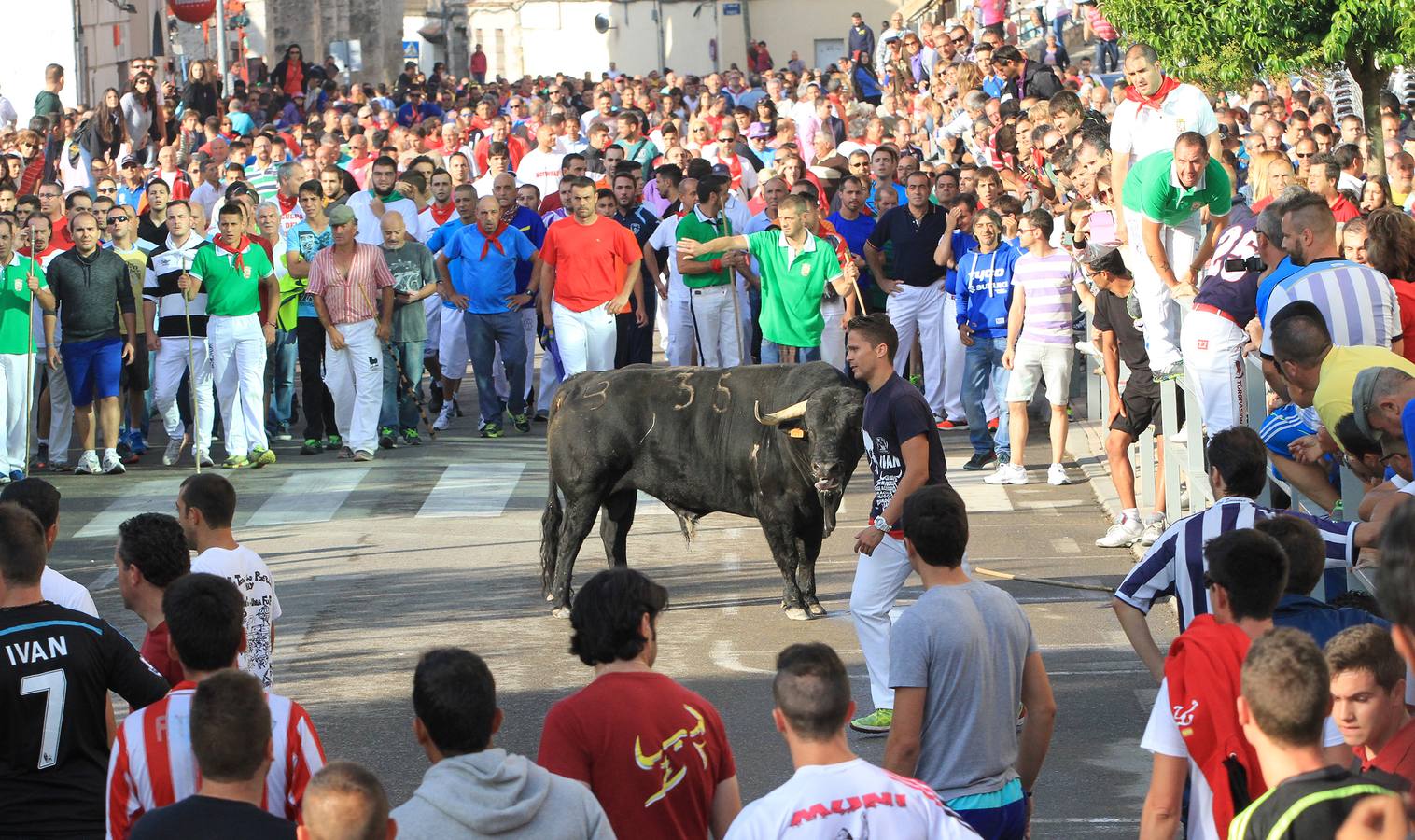 Cuarto encierro de las fiestas de Cuéllar (Segovia)