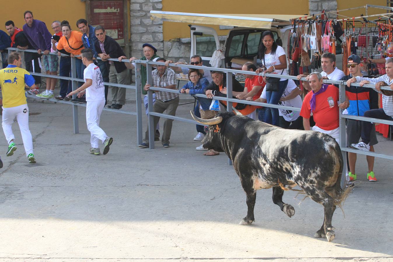 Cuarto encierro de las fiestas de Cuéllar (Segovia)