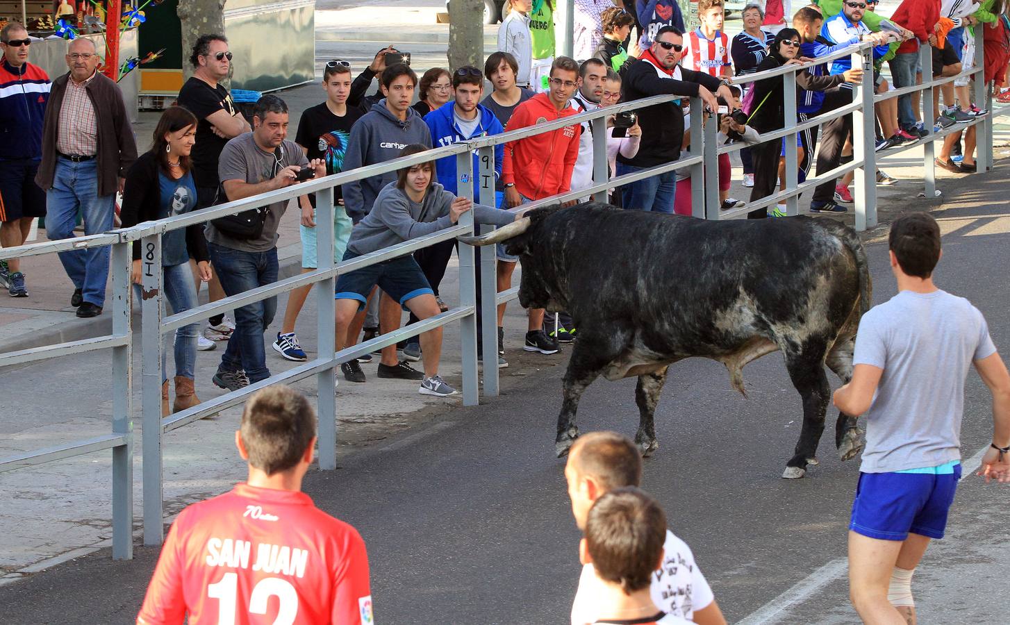 Cuarto encierro de las fiestas de Cuéllar (Segovia)