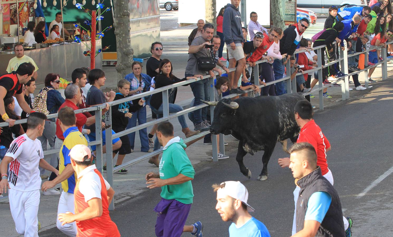 Cuarto encierro de las fiestas de Cuéllar (Segovia)
