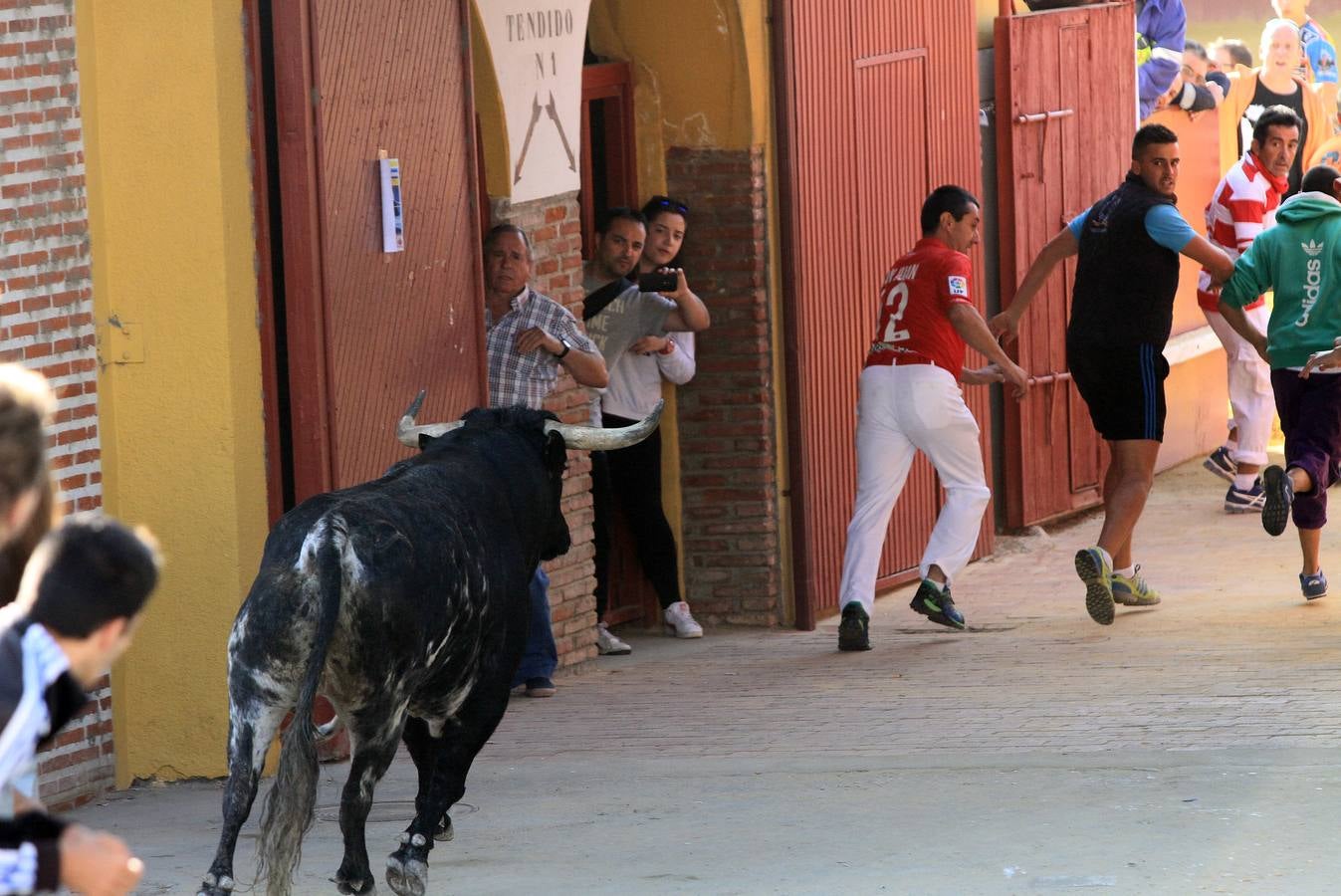 Cuarto encierro de las fiestas de Cuéllar (Segovia)