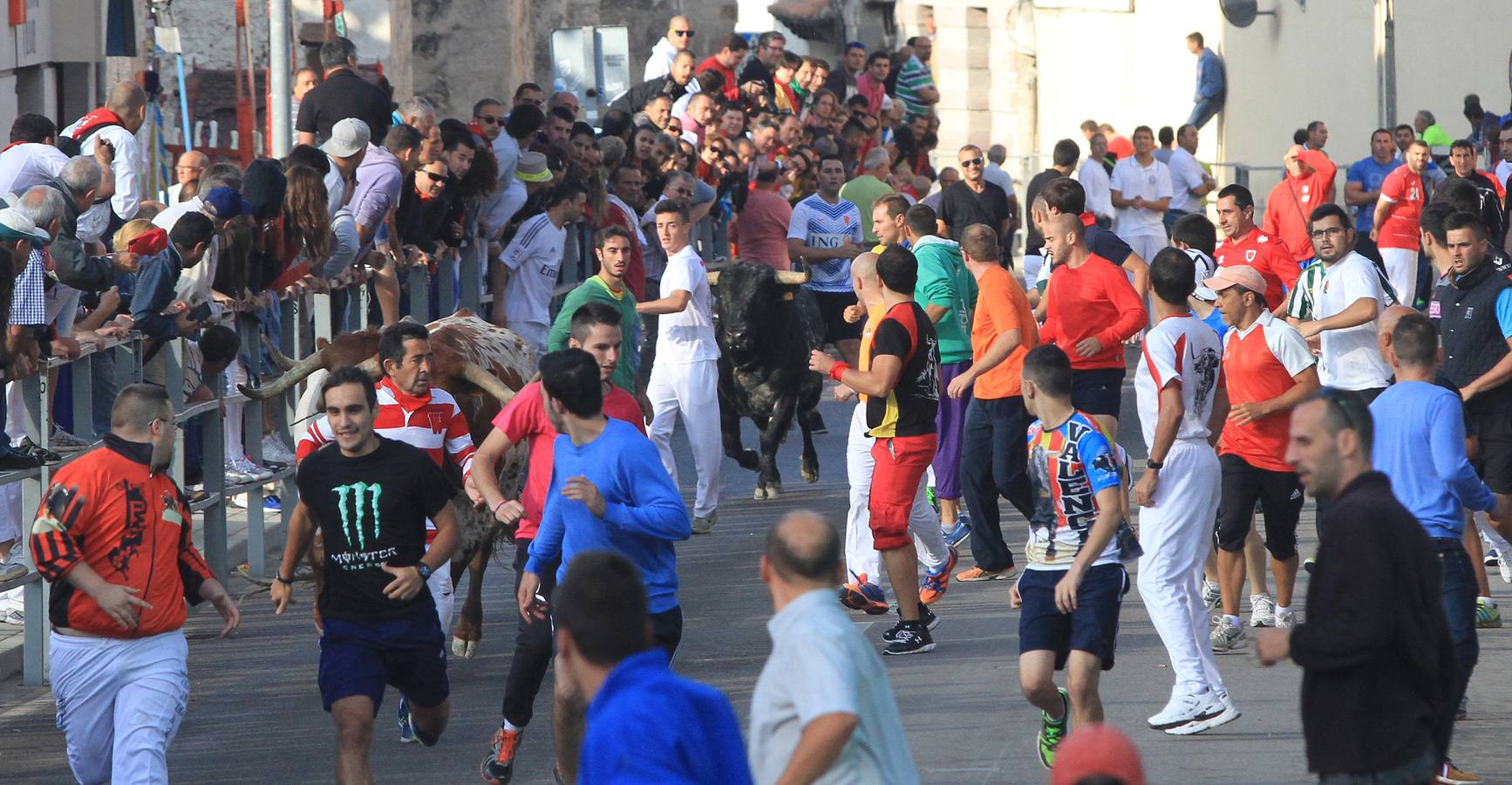 Cuarto encierro de las fiestas de Cuéllar (Segovia)