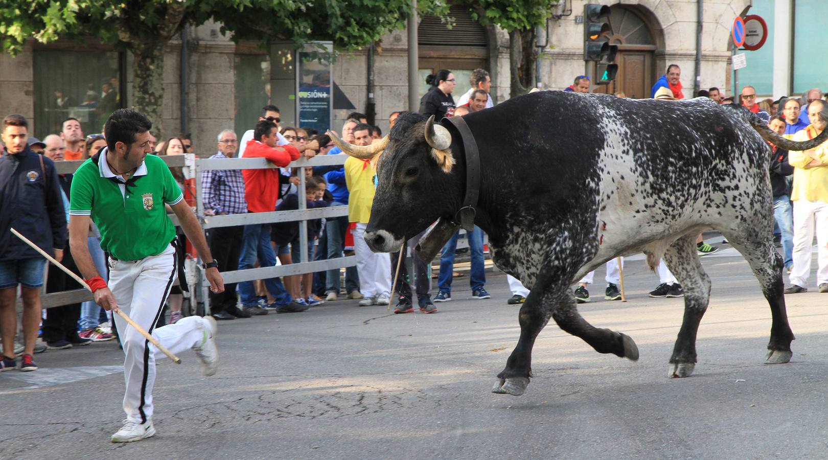 Quinto y último encierro de las fiestas de Cuéllar (Segovia)