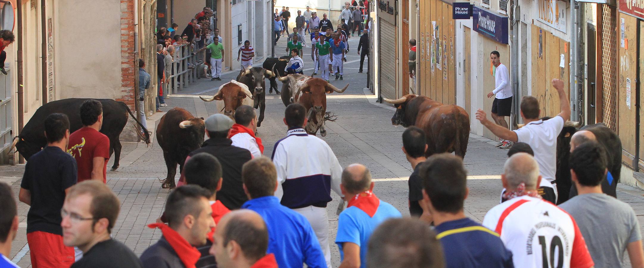 Quinto y último encierro de las fiestas de Cuéllar (Segovia)