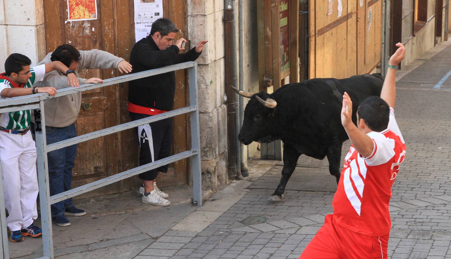 Quinto y último encierro de las fiestas de Cuéllar (Segovia)