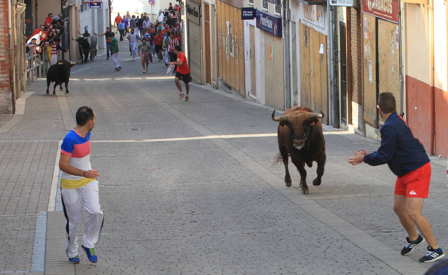 Quinto y último encierro de las fiestas de Cuéllar (Segovia)