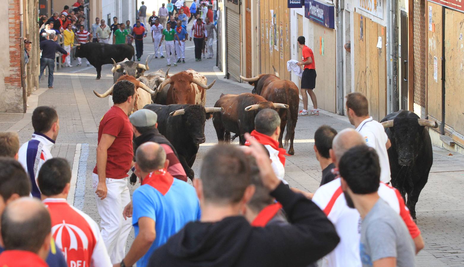 Quinto y último encierro de las fiestas de Cuéllar (Segovia)