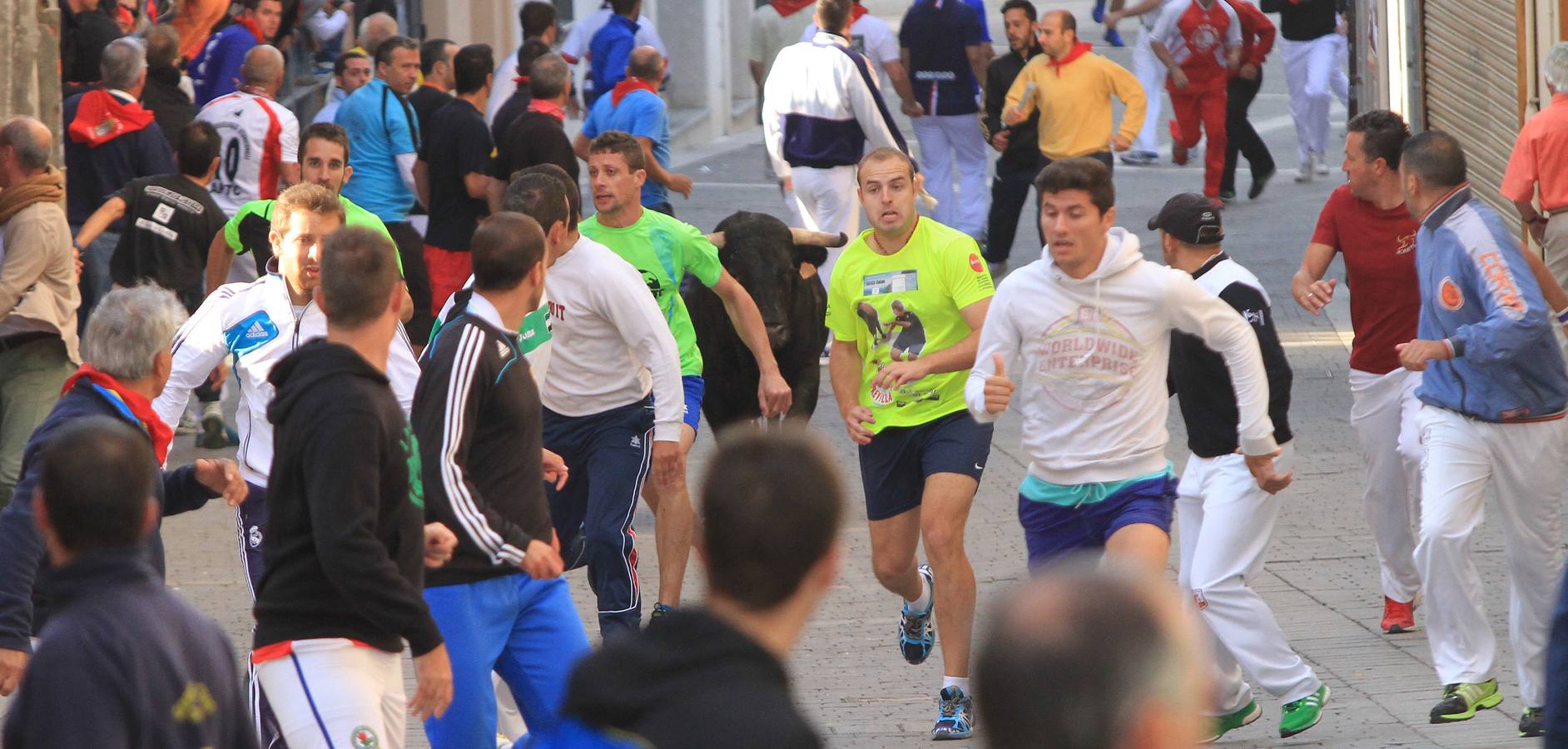 Quinto y último encierro de las fiestas de Cuéllar (Segovia)