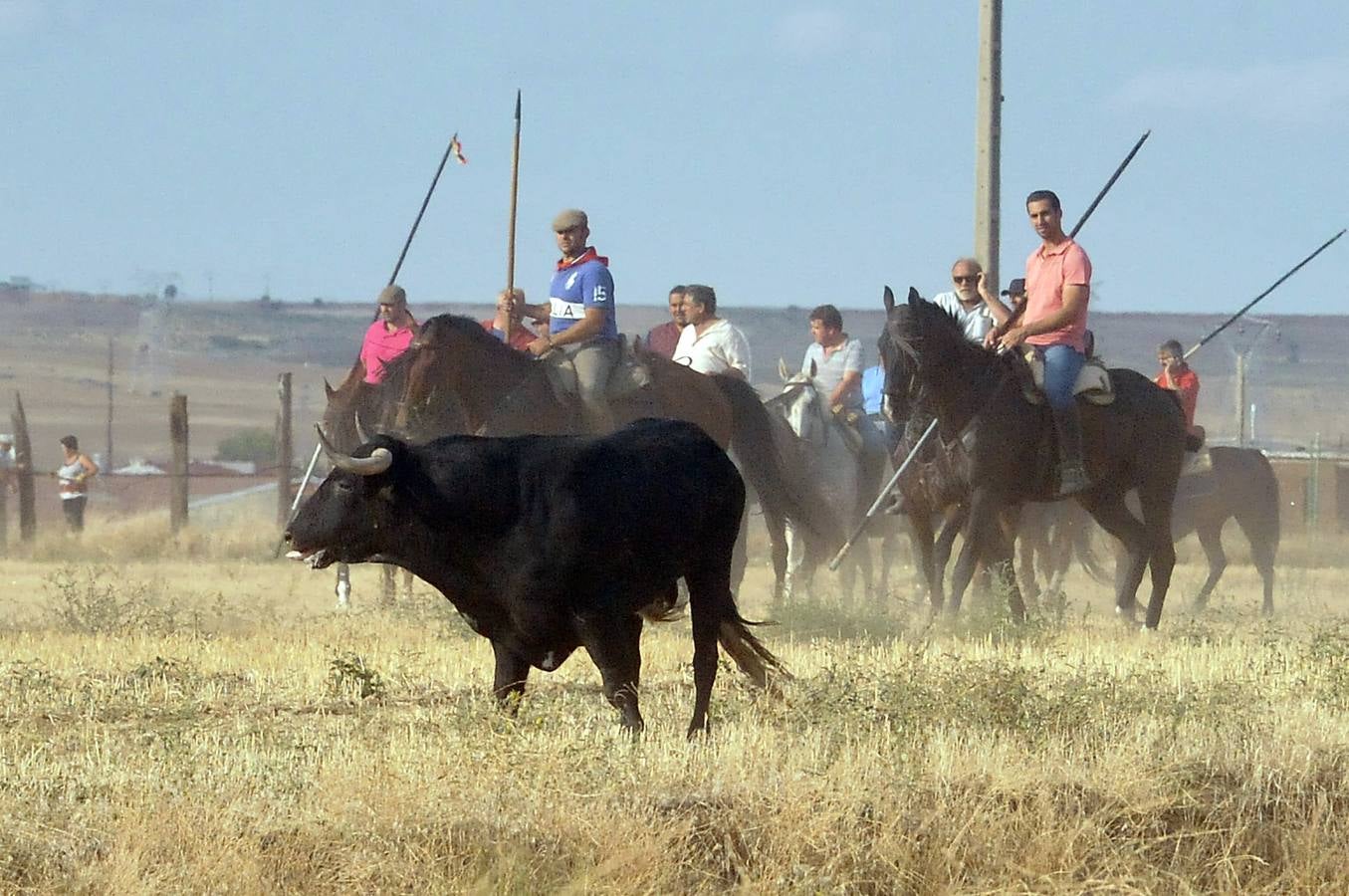 Segundo encierro de las fiestas de Medina del Campo 2015