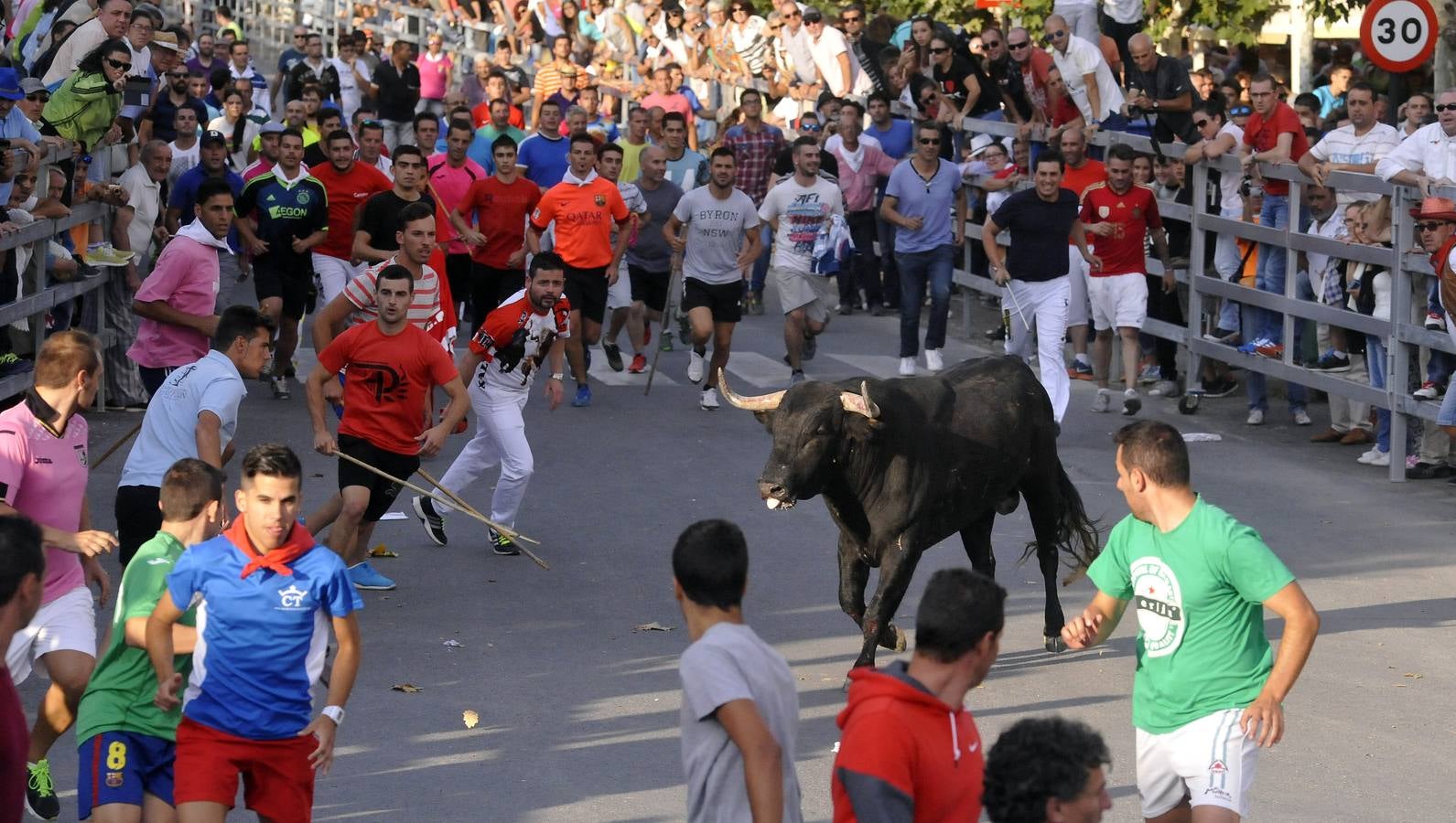 Segundo encierro de las fiestas de Medina del Campo 2015