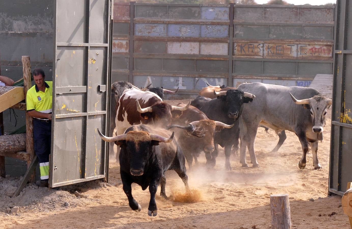 Segundo encierro de las fiestas de Medina del Campo 2015