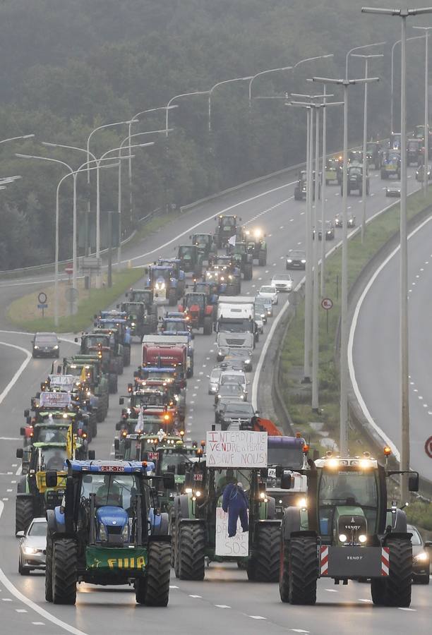 Miles de agricultores protestan en Bruselas contra la crisis del sector lácteo