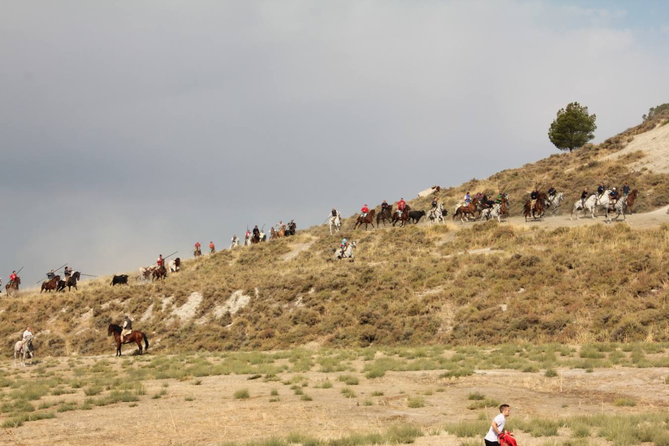 Primer encierro de las fiestas de Portillo (Valladolid)