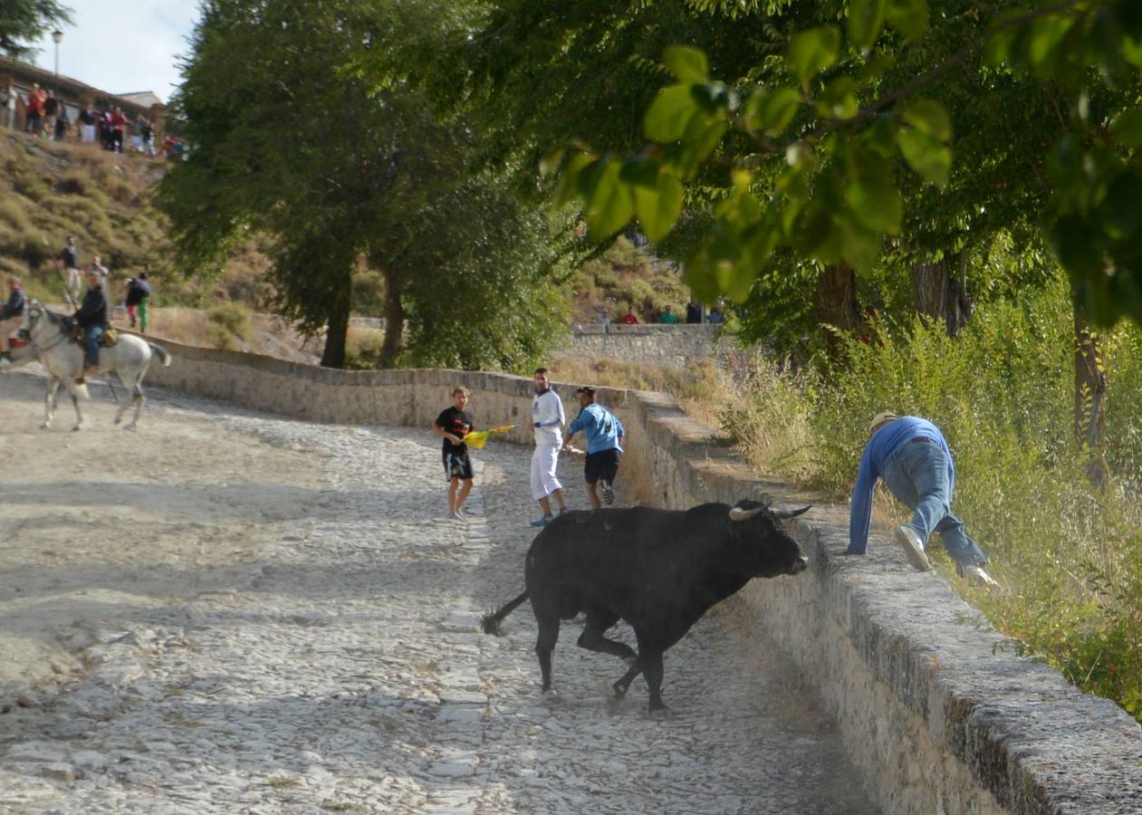 Así fue la cogida del herido en el primer encierro de las fiestas de Portillo (Valladolid)