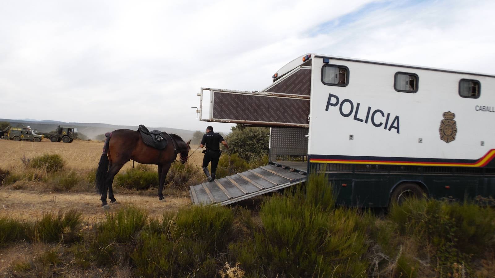 Los trabajos de búsqueda de la peregrina se suspenden de forma temporal tras la detención del sospechoso