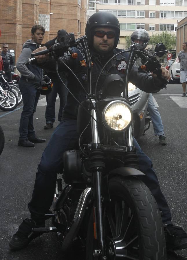 Reunión de Harley Davidson, Cafe Racer, Chopper...