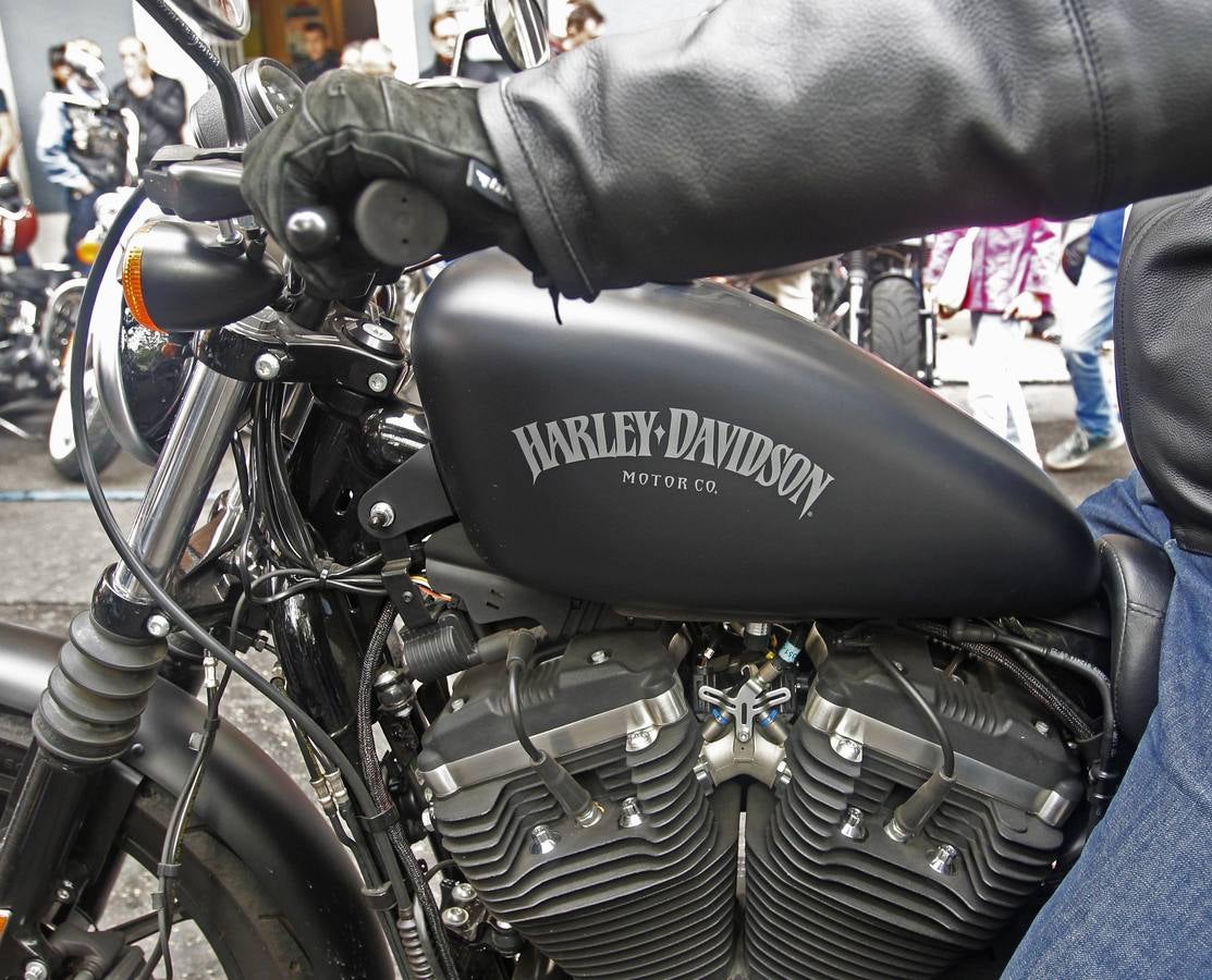 Reunión de Harley Davidson, Cafe Racer, Chopper...