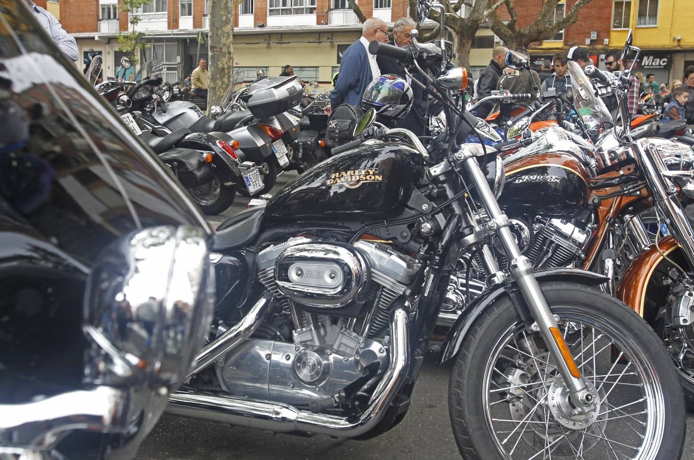Reunión de Harley Davidson, Cafe Racer, Chopper...