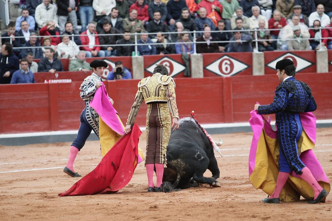 Corrida de toros en Salamanca con El Juli, Castella y Perera (2/3)