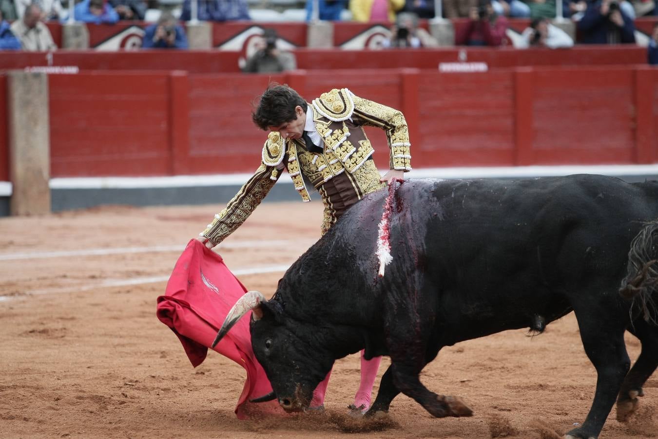 Corrida de toros en Salamanca con El Juli, Castella y Perera (2/3)