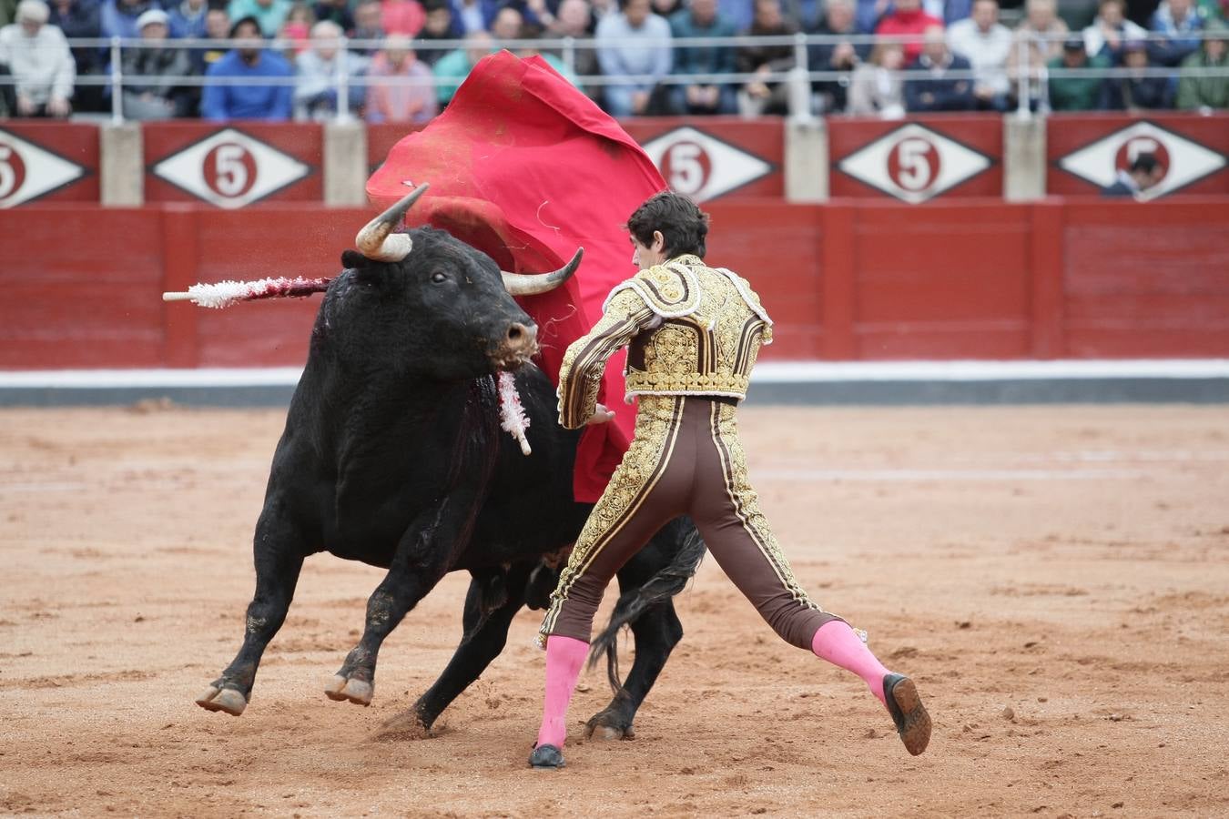 Corrida de toros en Salamanca con El Juli, Castella y Perera (2/3)