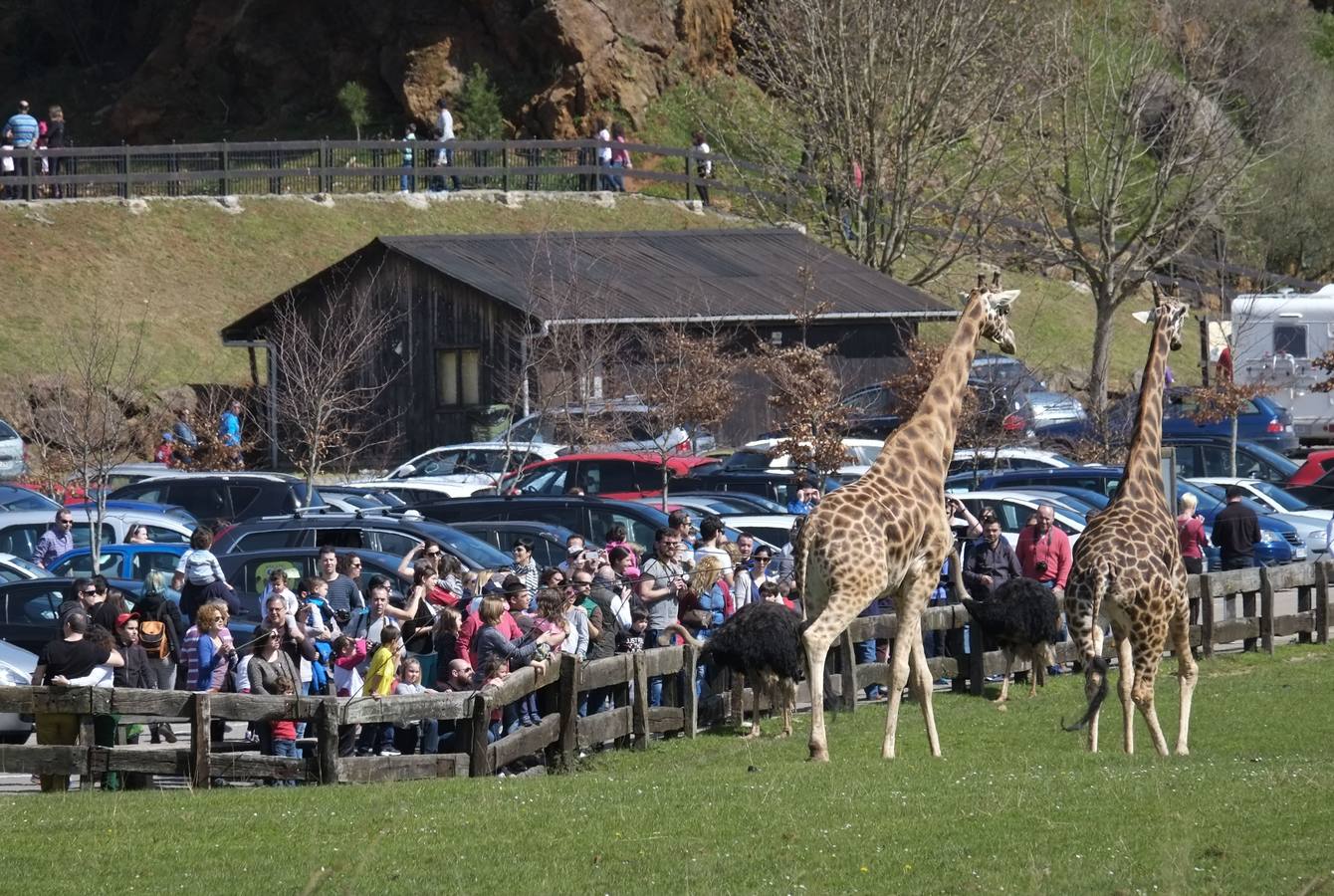 El Parque de la Naturaleza de Cabárceno (Cantabria)