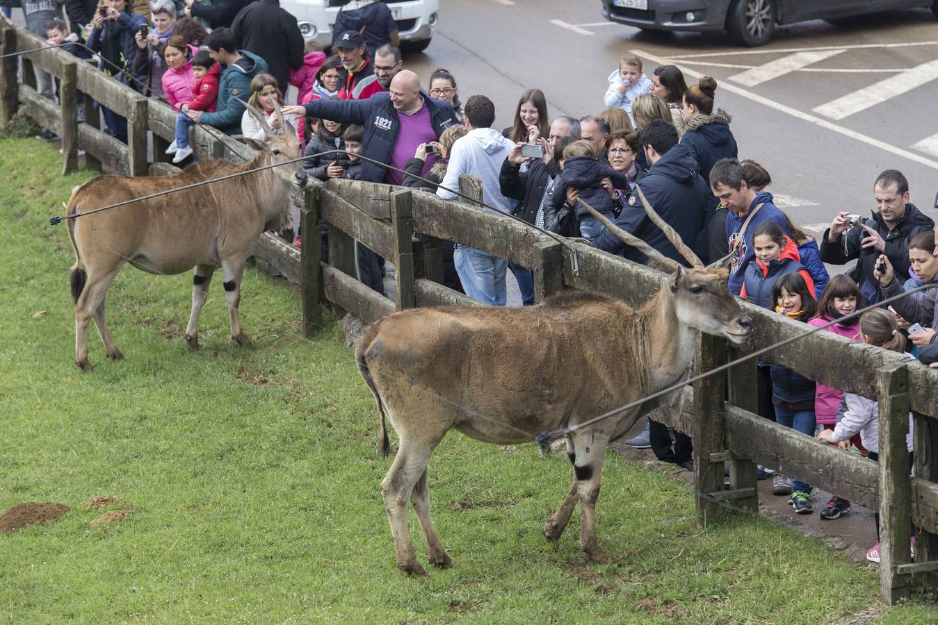 El Parque de la Naturaleza de Cabárceno (Cantabria)