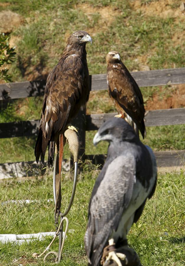 El Parque de la Naturaleza de Cabárceno (Cantabria)