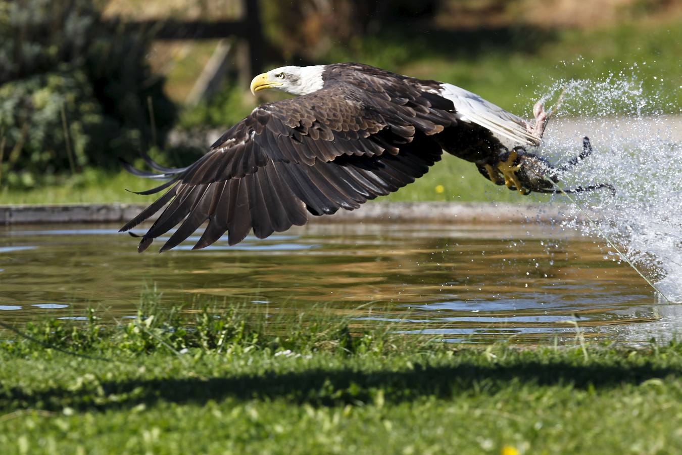 El Parque de la Naturaleza de Cabárceno (Cantabria)