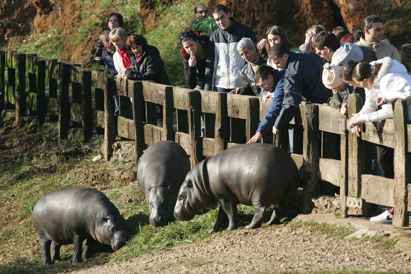 El Parque de la Naturaleza de Cabárceno (Cantabria)