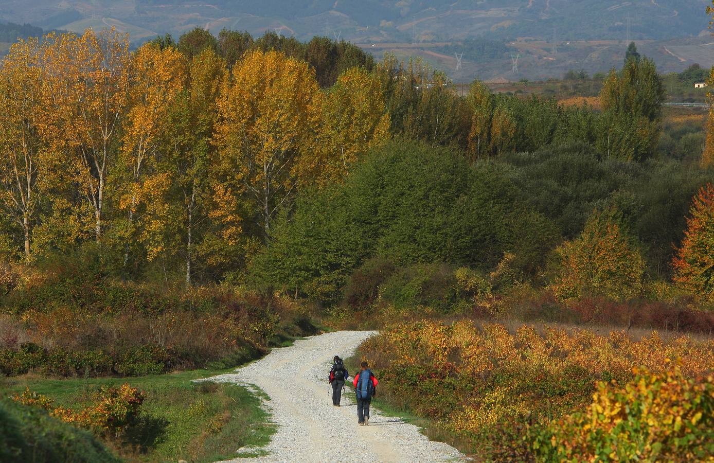 Otoño en El Bierzo (León).