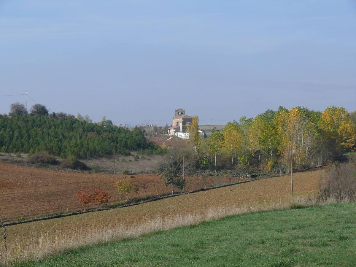 Vista de la localidad de Dehesa de Romanos (Palencia), entre los otoñales sotos de la Ojeda.