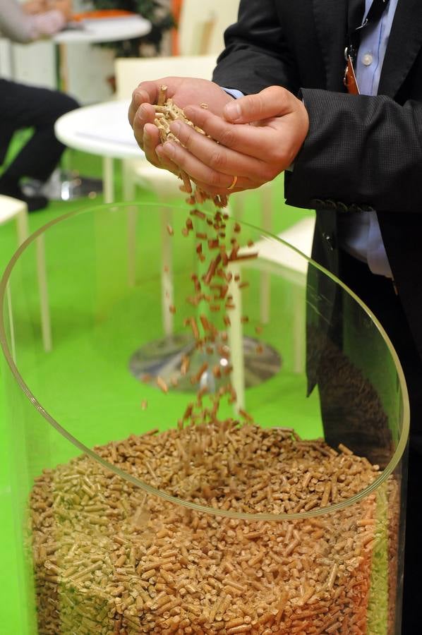 Inauguración de la X Feria Internacional Expobiomasa en Valladolid