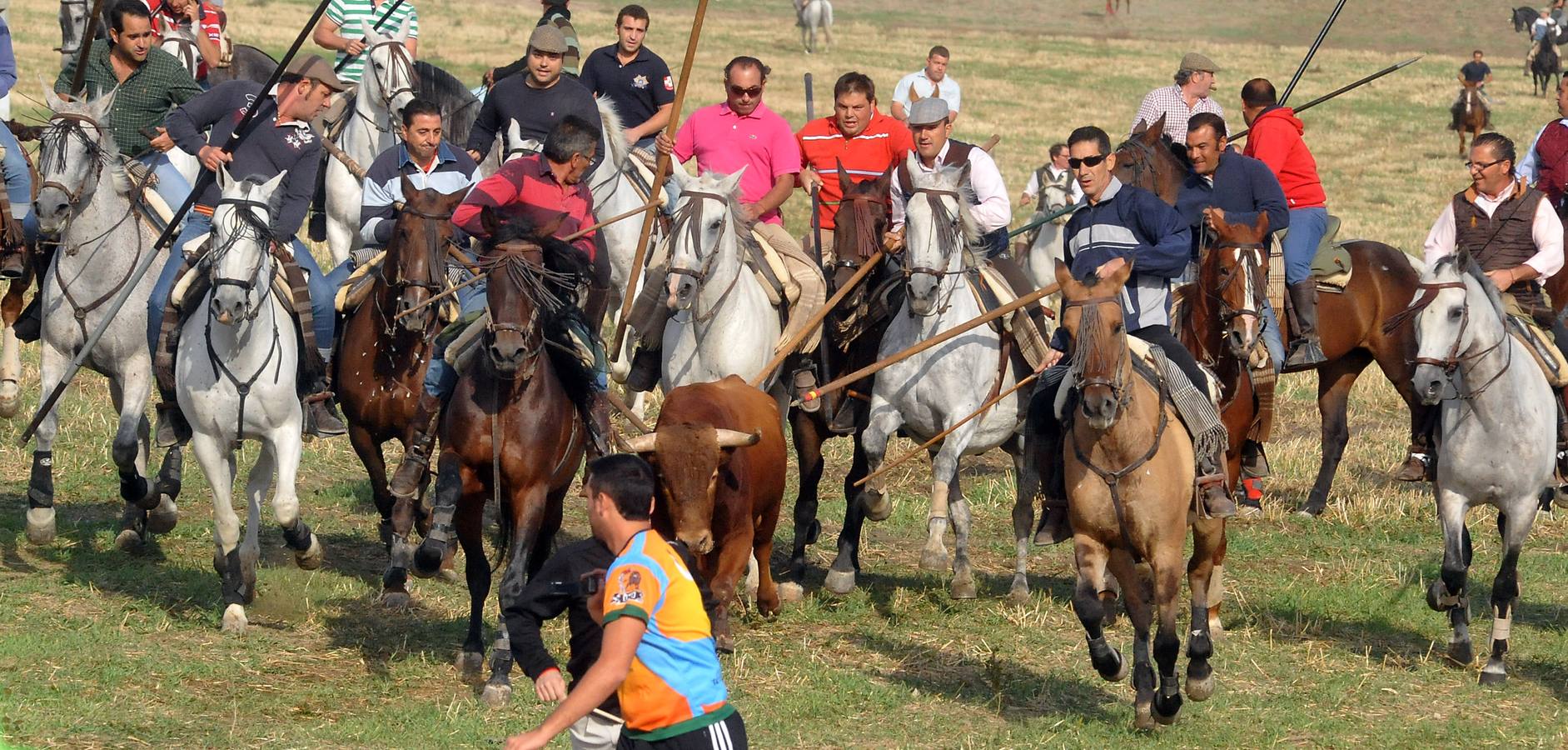 Segundo encierro de las fiestas de Olmedo 2015