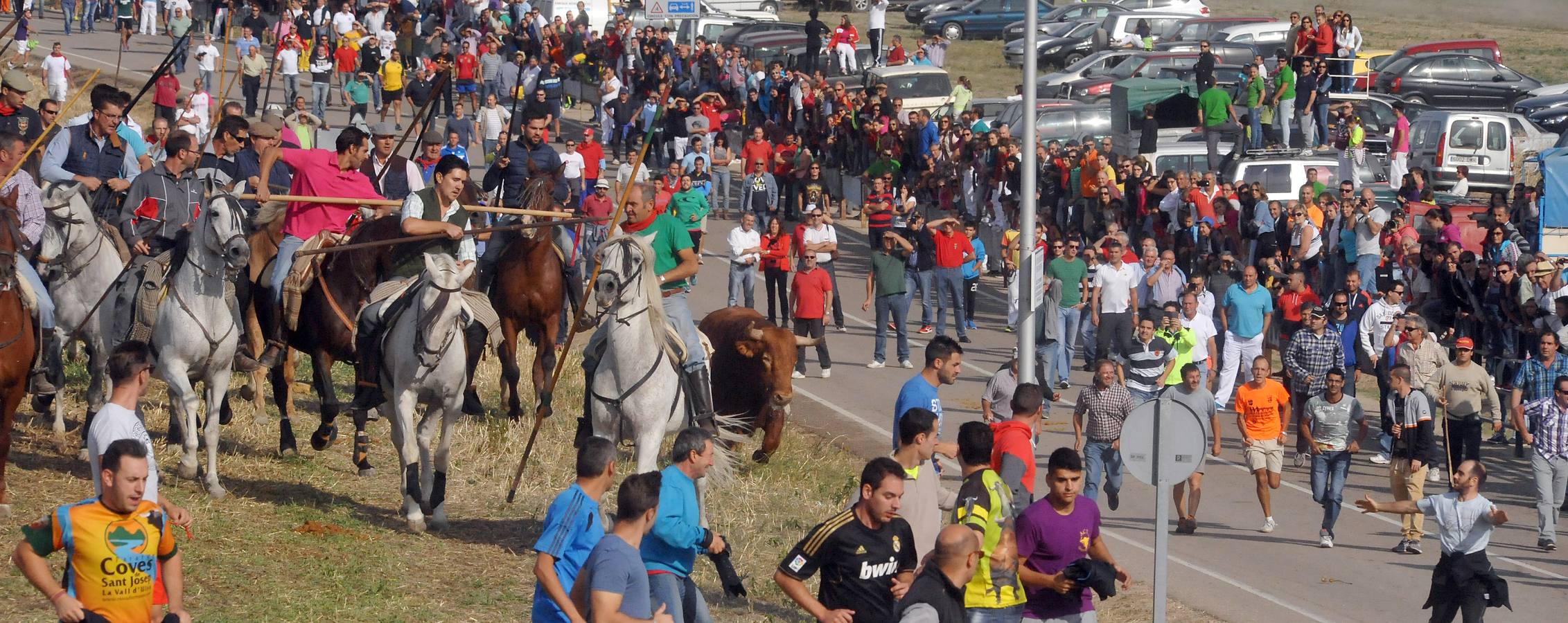 Segundo encierro de las fiestas de Olmedo 2015