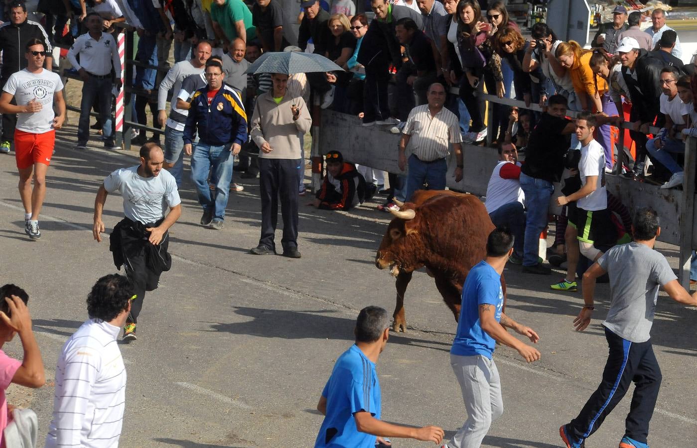 Segundo encierro de las fiestas de Olmedo 2015