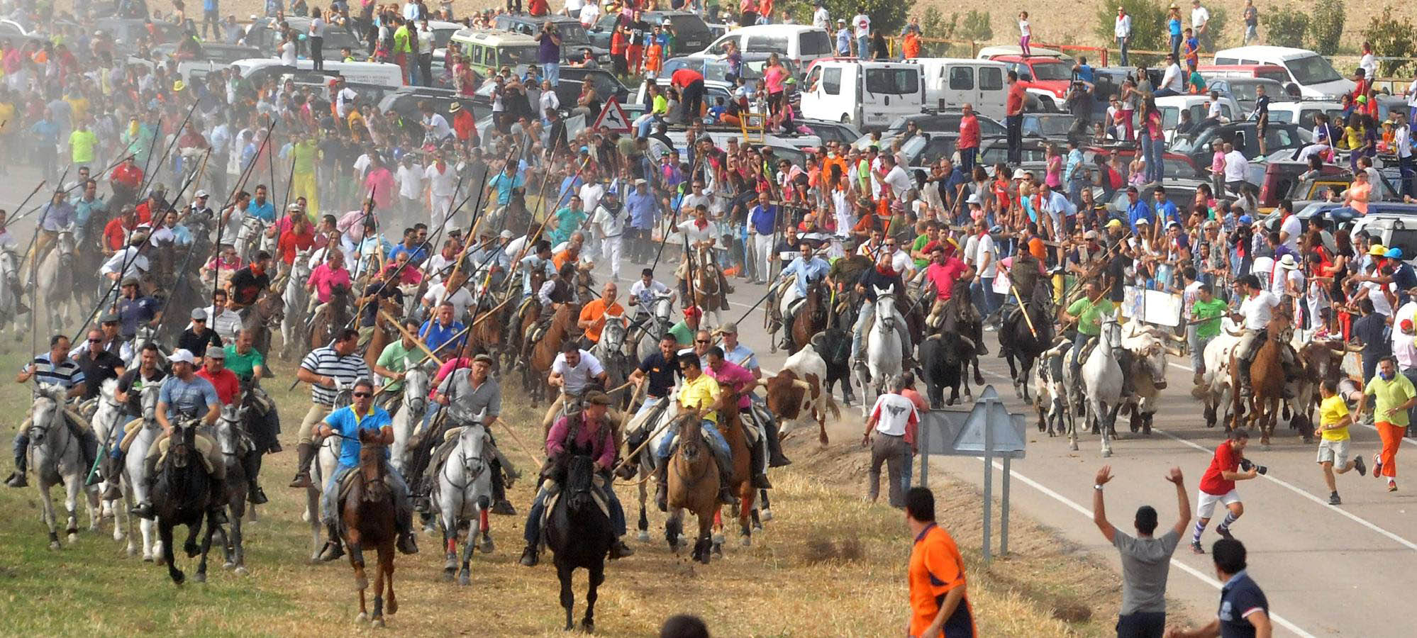Último encierro de la fiestas de Olmedo 2015