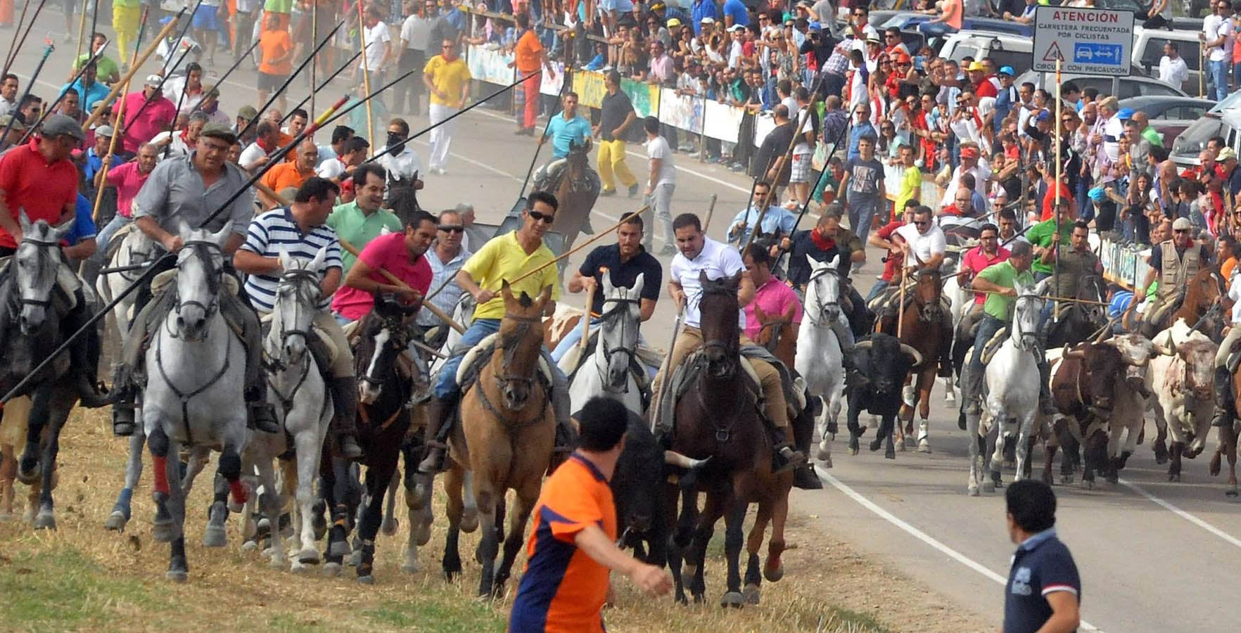Último encierro de la fiestas de Olmedo 2015