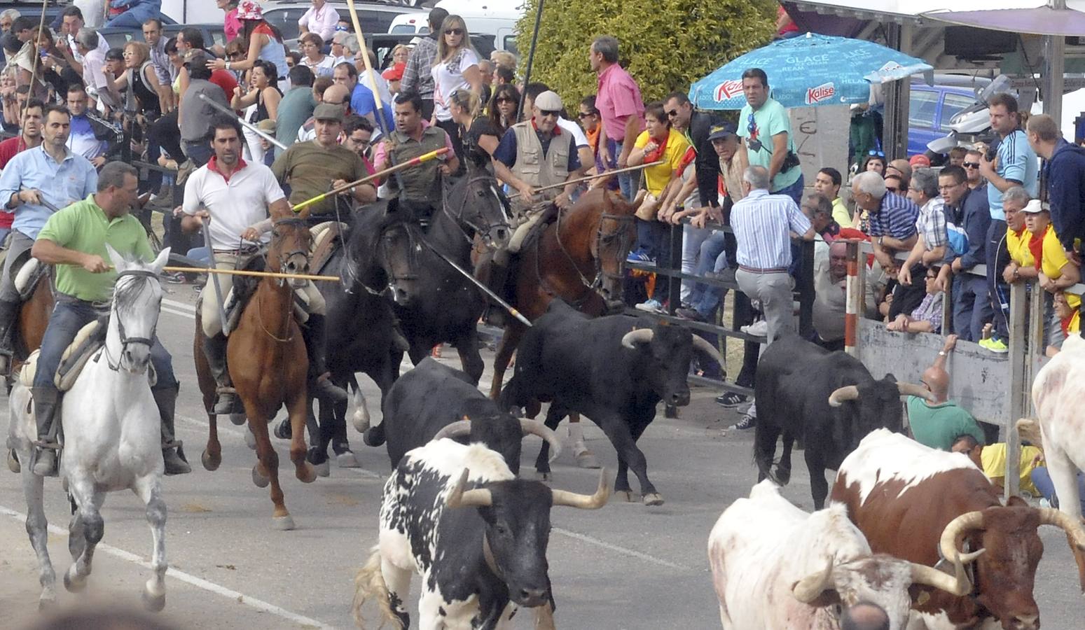 Último encierro de la fiestas de Olmedo 2015
