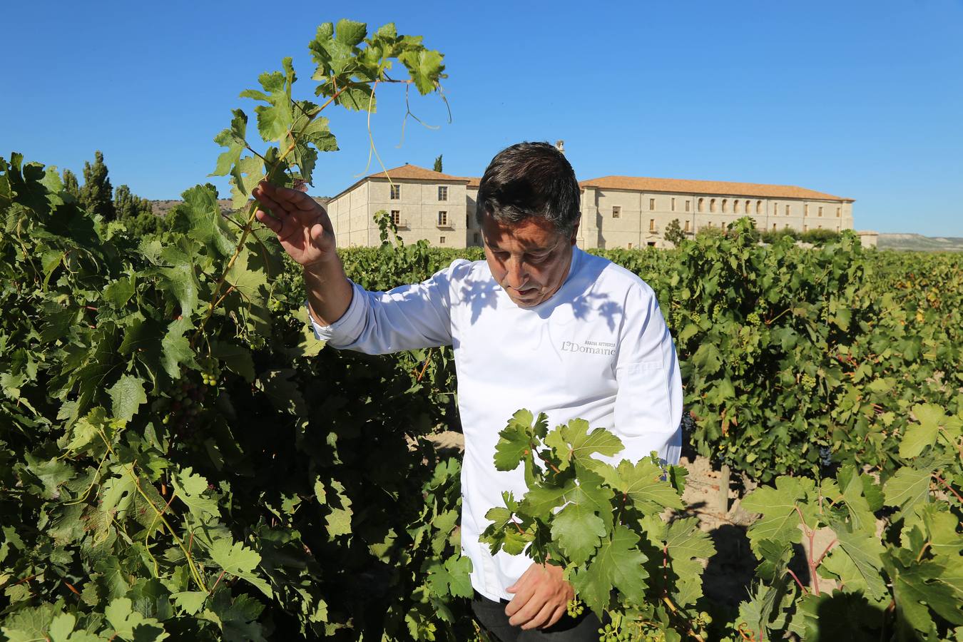El mejor cocinero del mundo, Joan Roca, en la tradicional pisada de uva de Abadía de Retuerta (Valladolid)