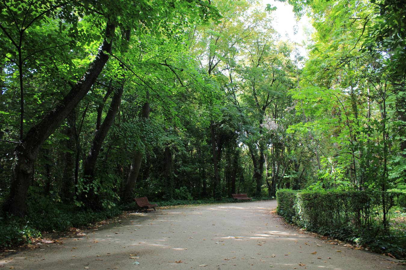 Un paseo en otoño por el Campo Grande