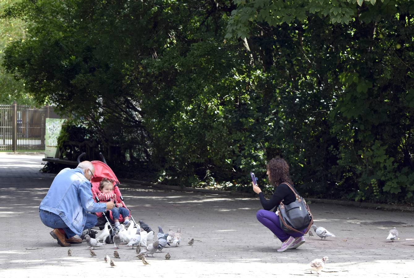 Un paseo en otoño por el Campo Grande