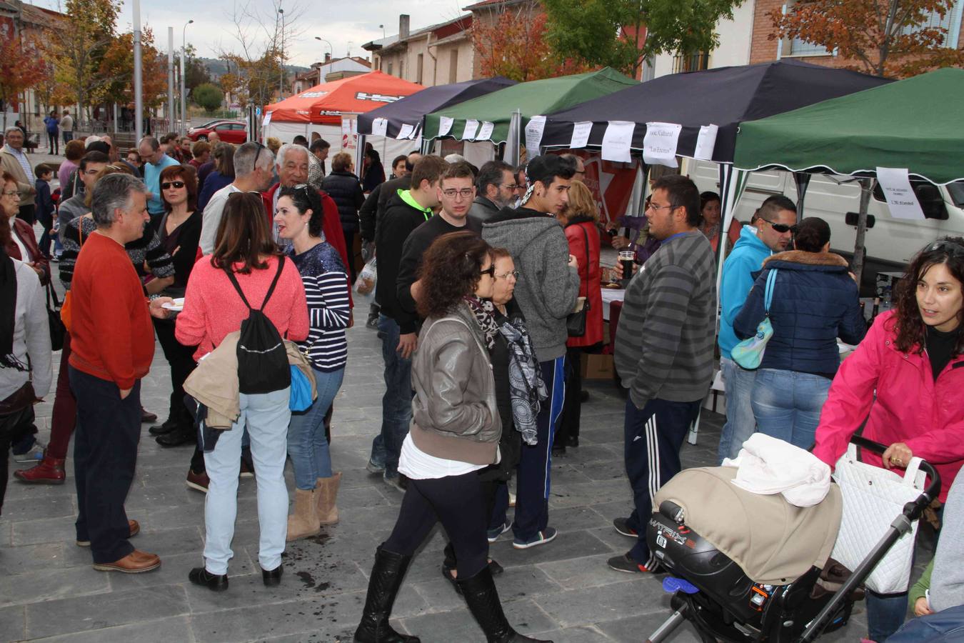 VII Cata popular de quesos en Sardón (Valladolid)