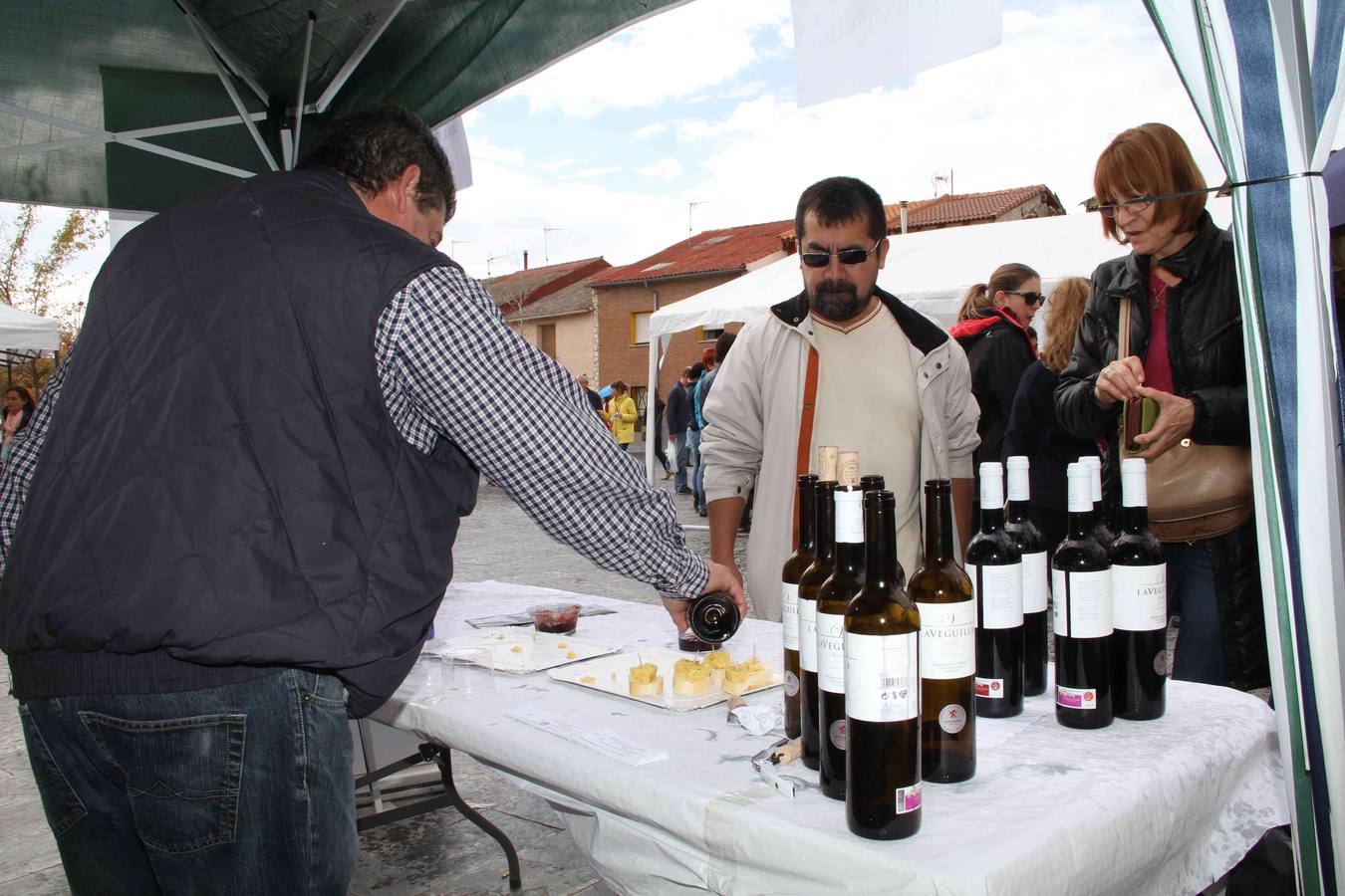 VII Cata popular de quesos en Sardón (Valladolid)