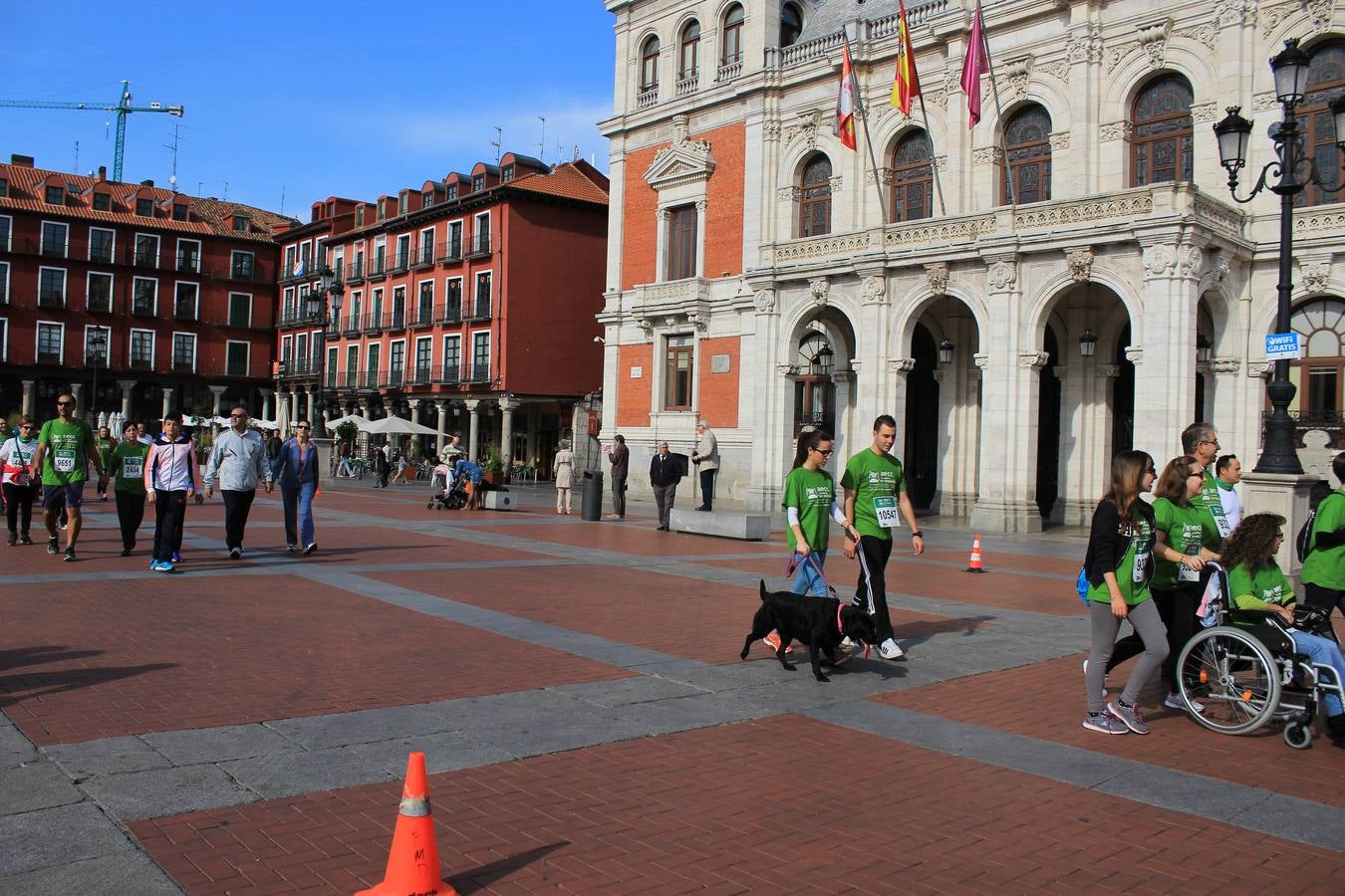 Marcha Contra el Cáncer 2015. Valladolid 19