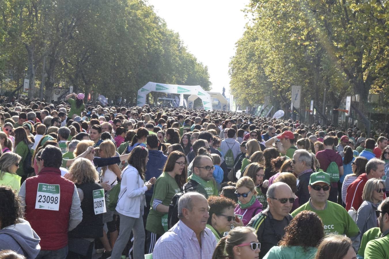 Marcha Contra en Cáncer 2015. Valladolid 2