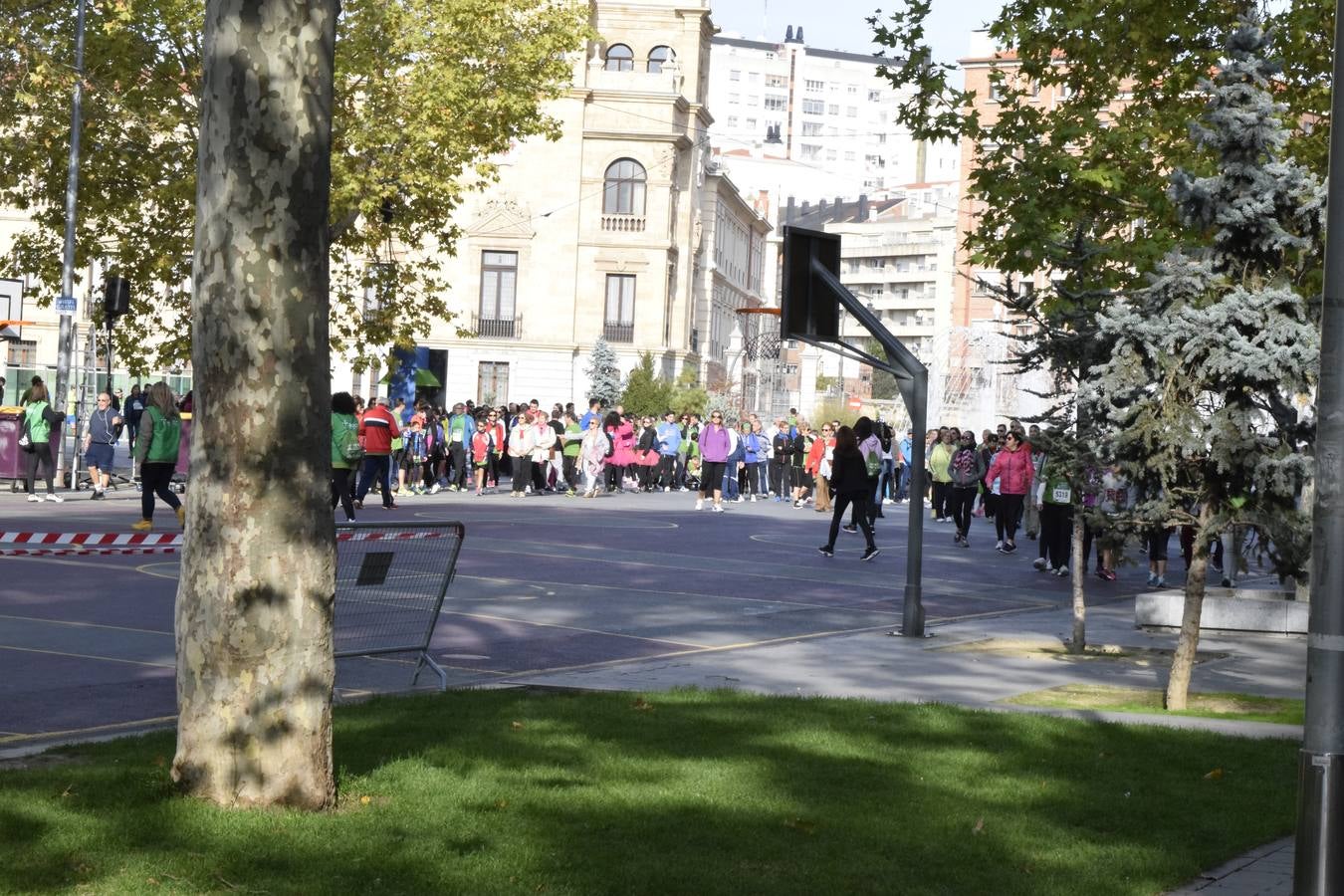 Marcha Contra el Cáncer 2015. Valladolid 3