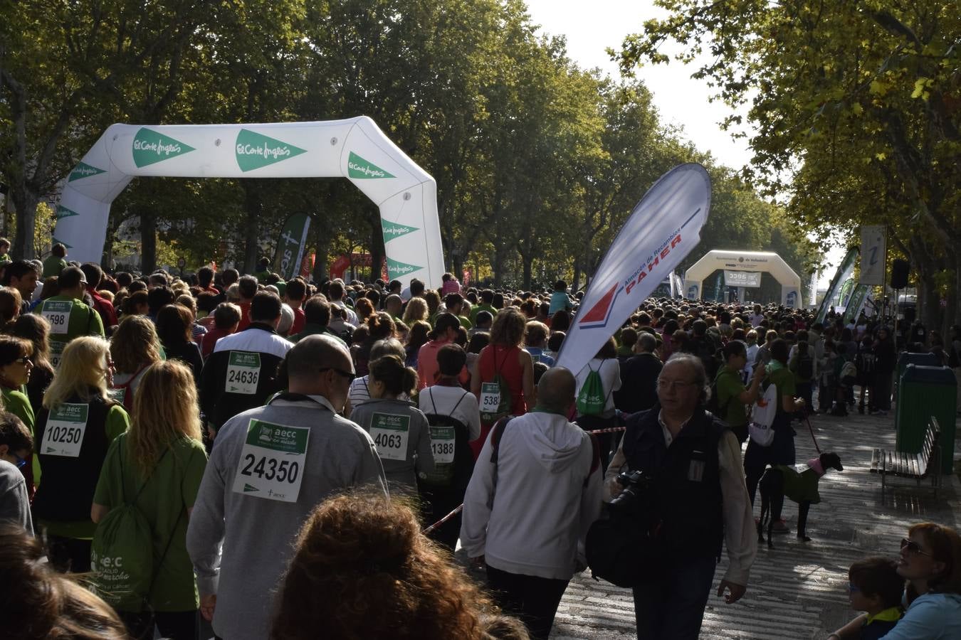 Marcha Contra el Cáncer 2015. Valladolid 5