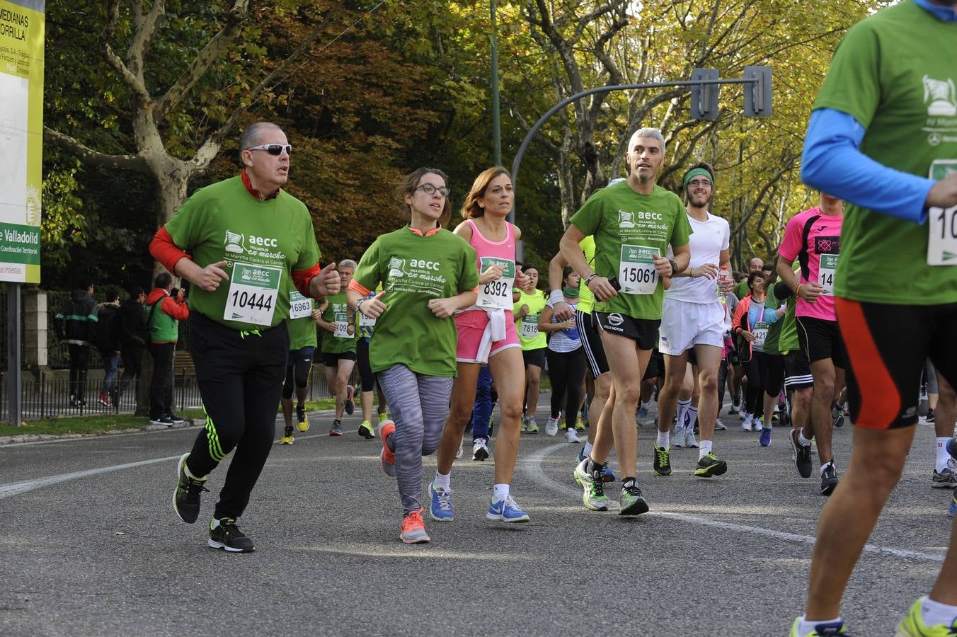 Marcha Contra el Cáncer 2015. Valladolid 11